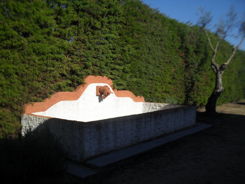 Quinta Do Outeiro Alto Villa Constância Kültér fotó