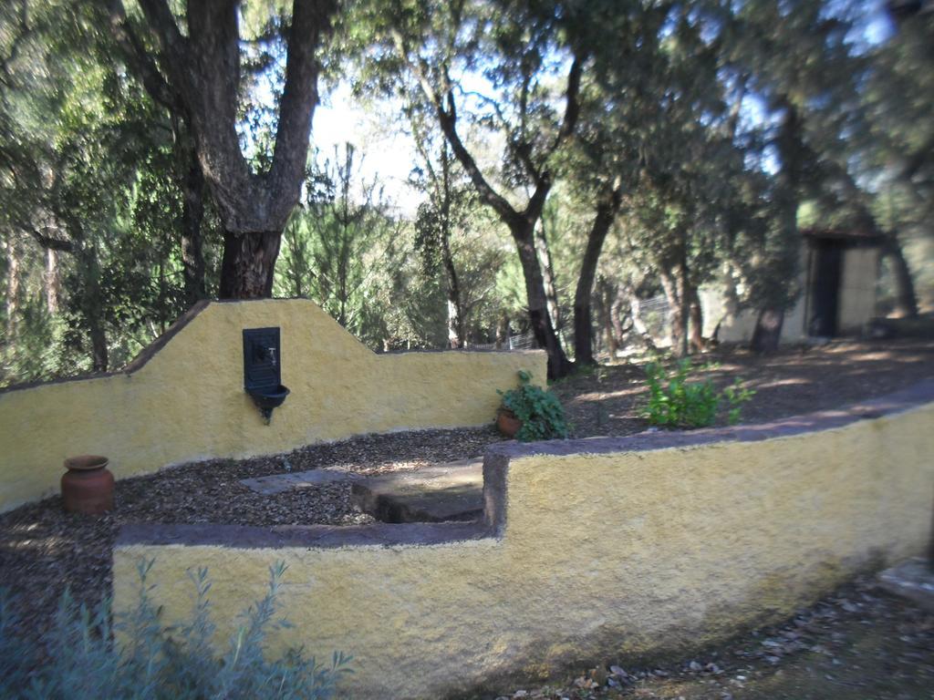 Quinta Do Outeiro Alto Villa Constância Kültér fotó