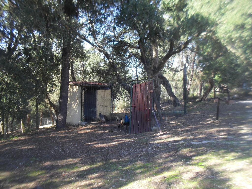 Quinta Do Outeiro Alto Villa Constância Kültér fotó