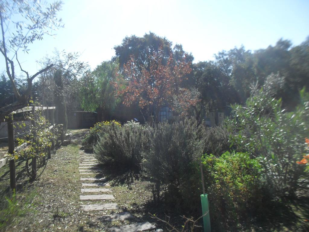 Quinta Do Outeiro Alto Villa Constância Kültér fotó