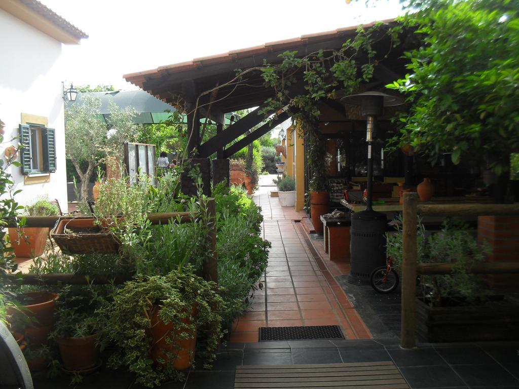 Quinta Do Outeiro Alto Villa Constância Kültér fotó