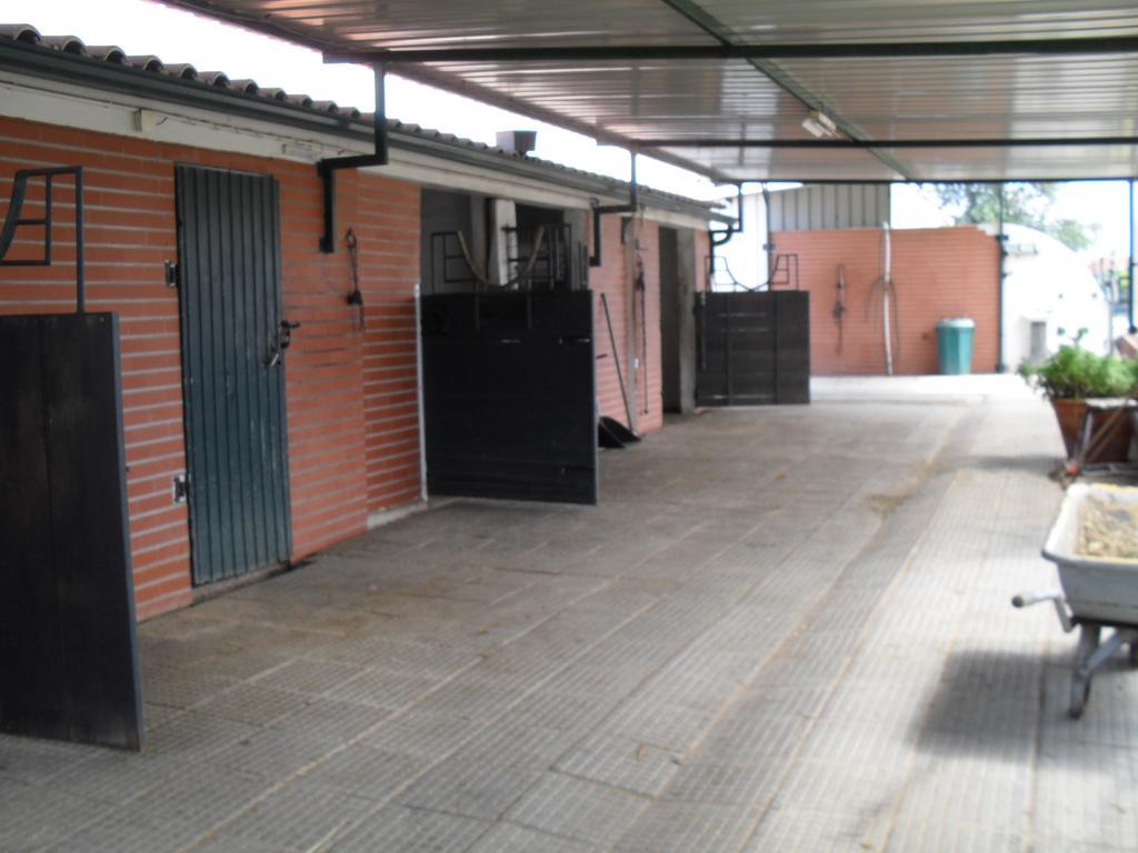 Quinta Do Outeiro Alto Villa Constância Kültér fotó