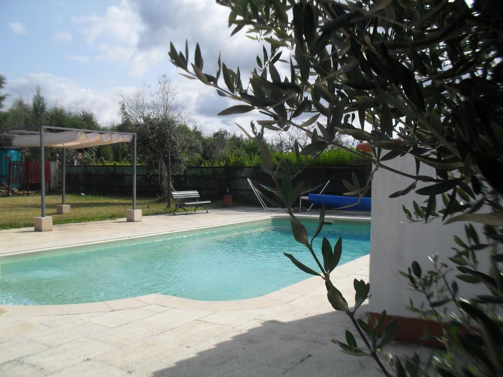 Quinta Do Outeiro Alto Villa Constância Kültér fotó