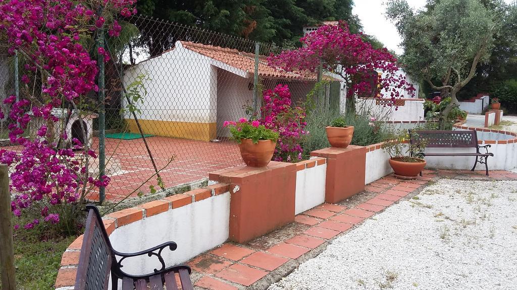 Quinta Do Outeiro Alto Villa Constância Kültér fotó