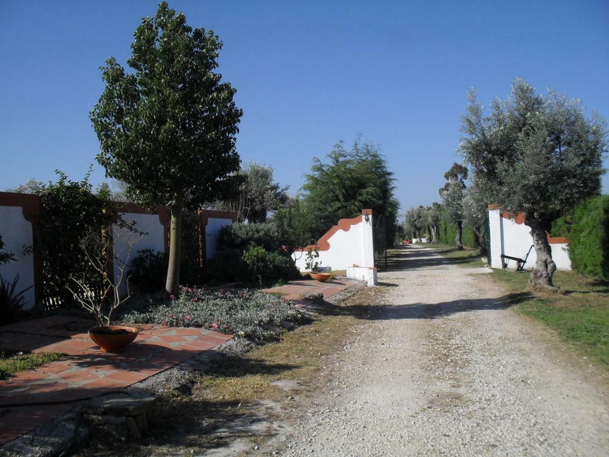 Quinta Do Outeiro Alto Villa Constância Kültér fotó